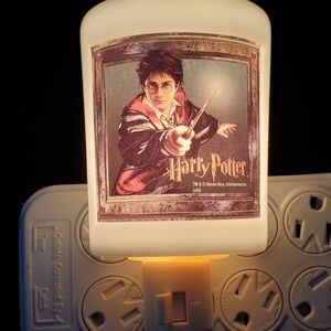 Harry Potter Ceramic Wall Light